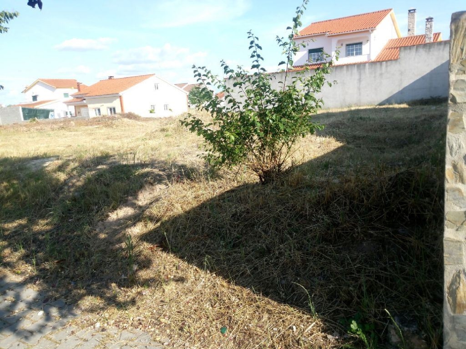 te koop terrein Lardosa Castelo Branco 3