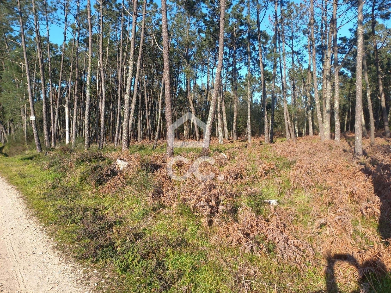  te koop terrein Leiria Leiria 7