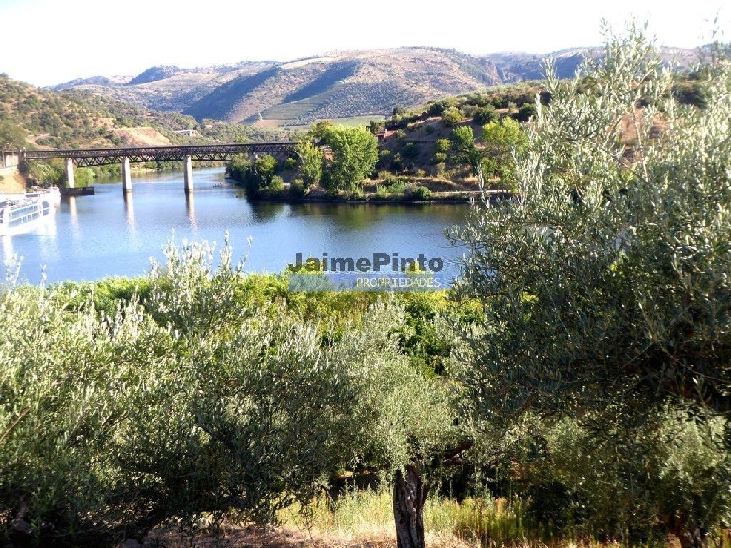  à vendre terrain Ligares Freixo De Espada À Cinta 1