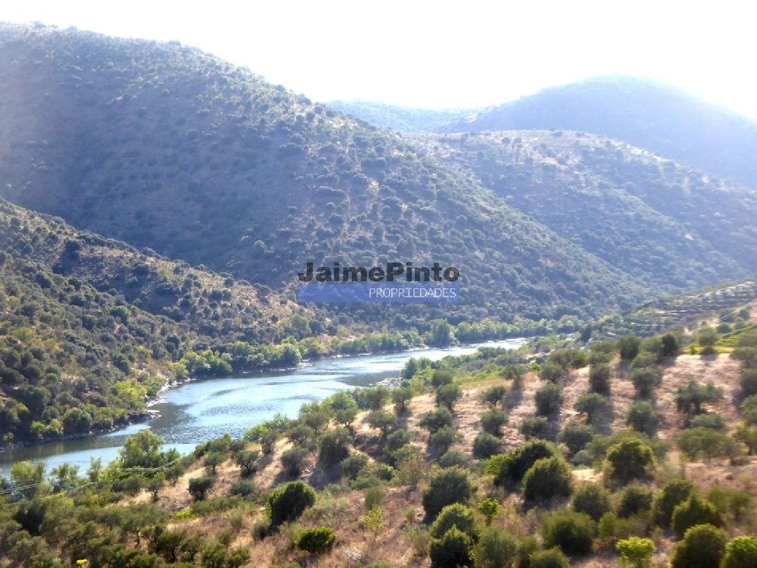 à vendre terrain Ligares Freixo De Espada À Cinta 3