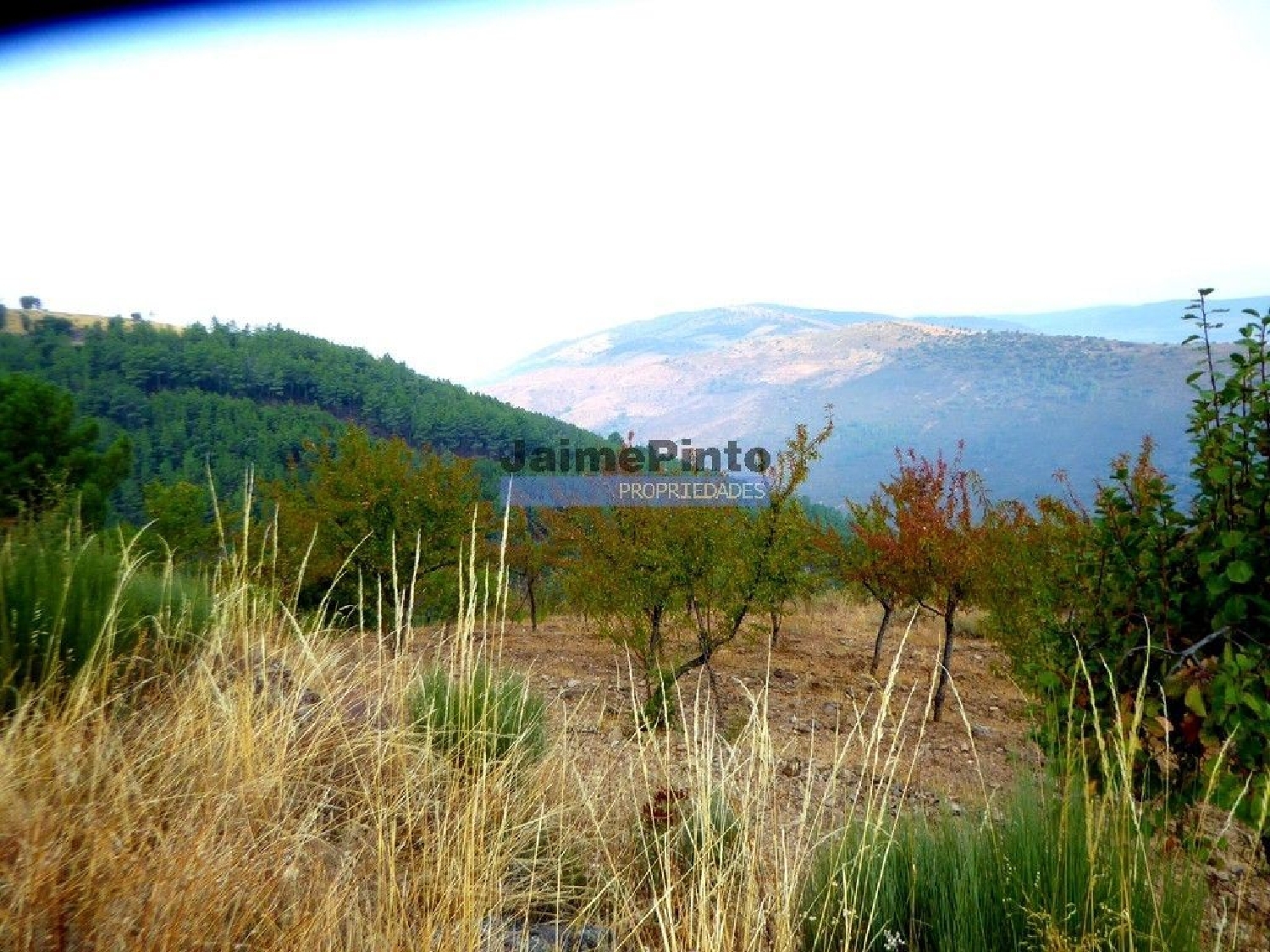à vendre terrain Ligares Freixo De Espada À Cinta 2