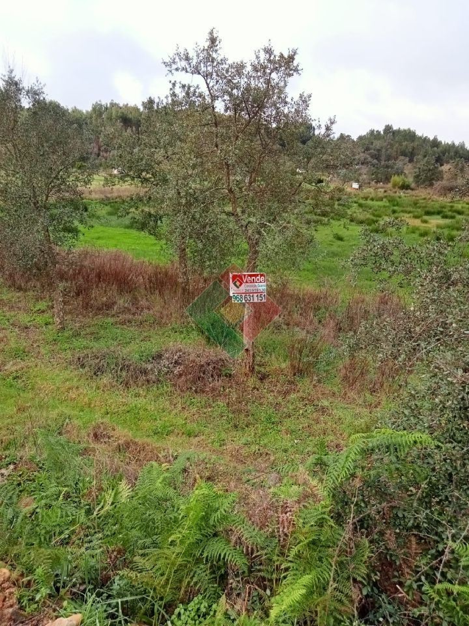  for sale terrain Longomel Ponte De Sor 2