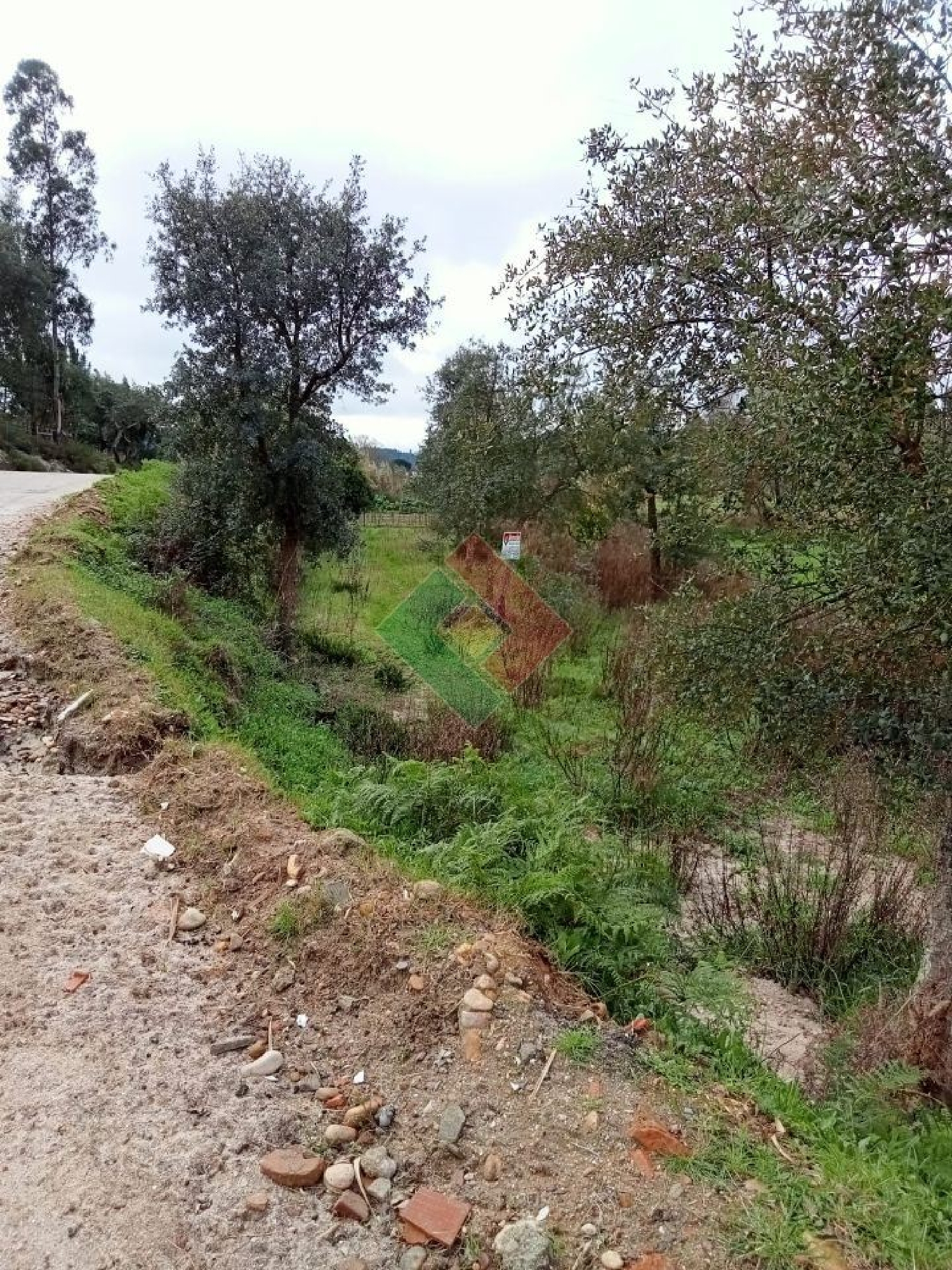  for sale terrain Longomel Ponte De Sor 3