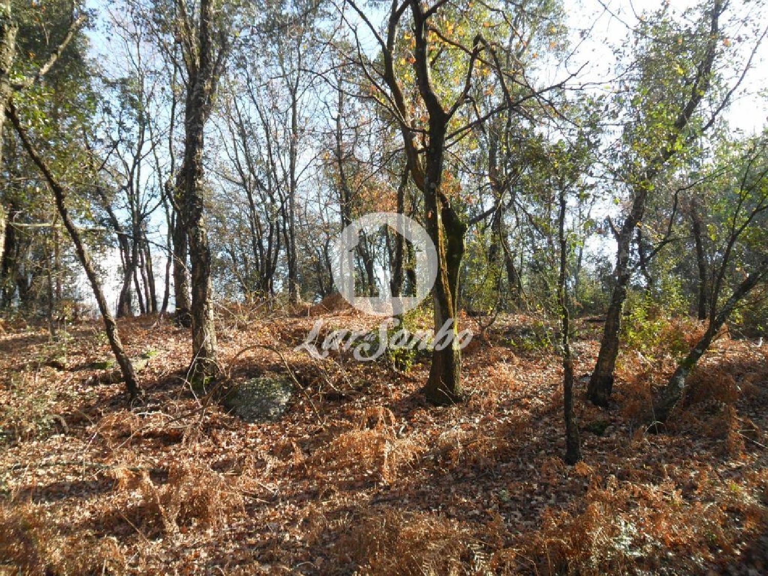 te koop terrein Lordelo Guimarães 2