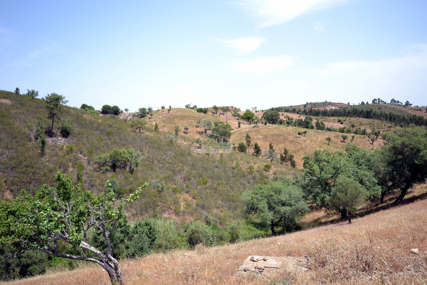  à venda terreno Loulé Loulé 5