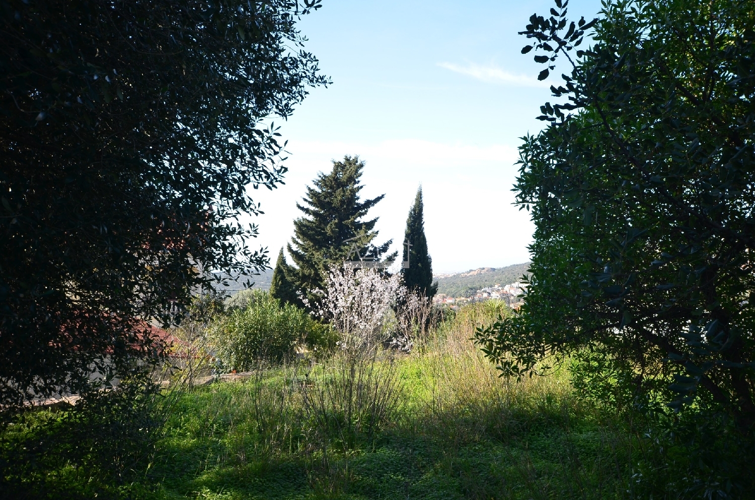 te koop terrein Loulé Loulé 2