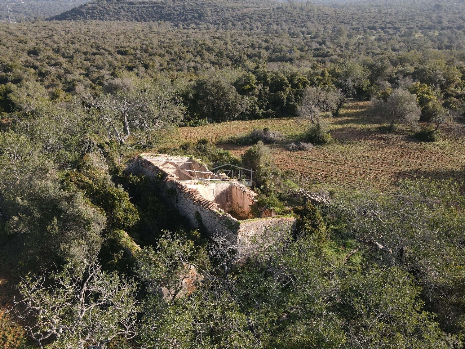  à venda terreno Loulé Loulé 6