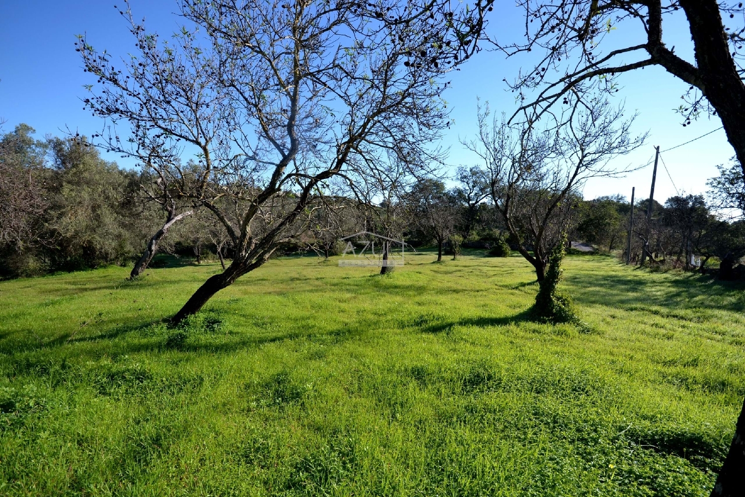à venda terreno Loulé Loulé 2