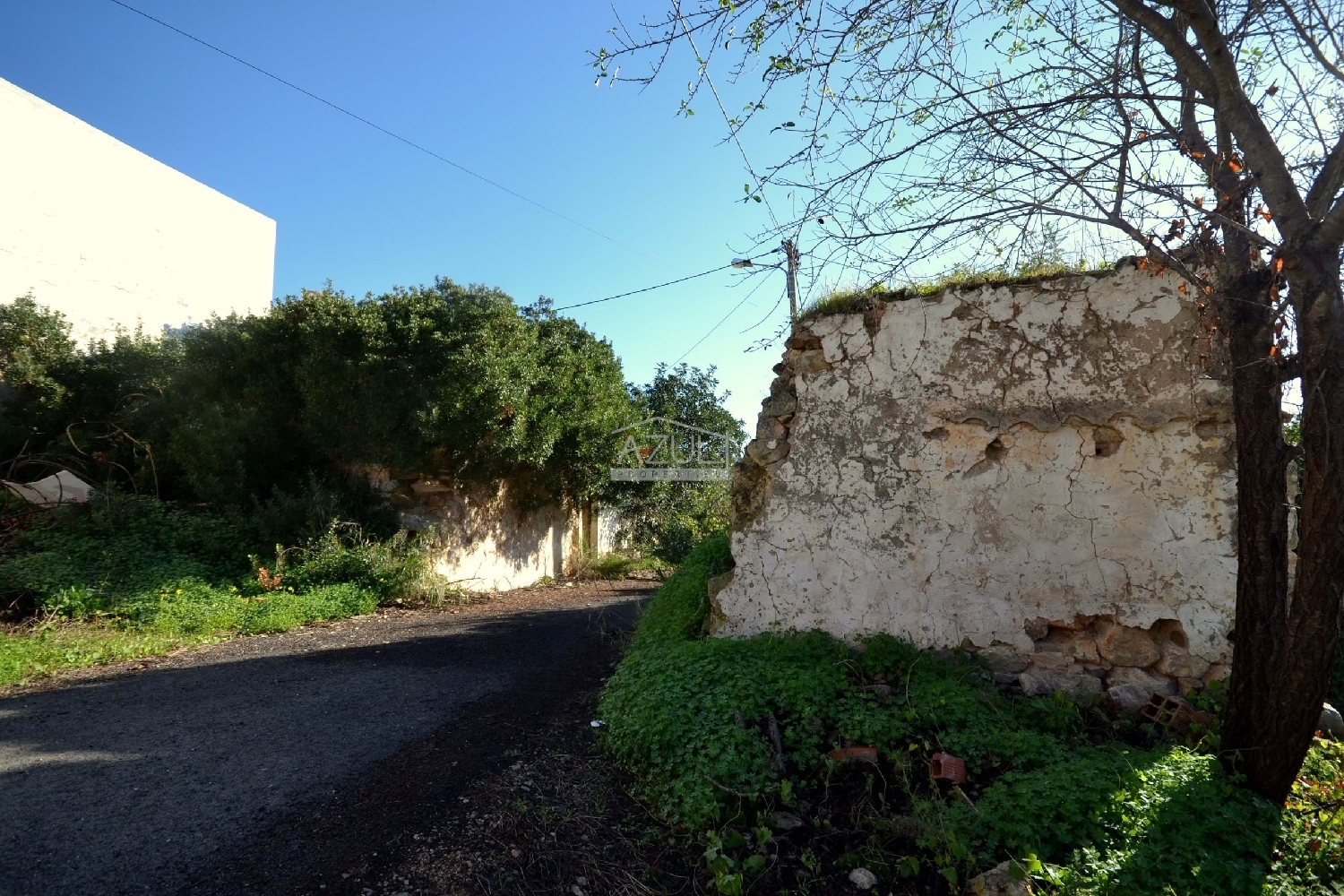 à venda terreno Loulé Loulé 3