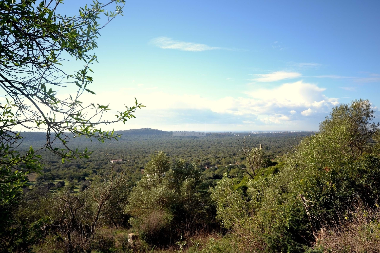  à venda terreno Loulé Loulé 4