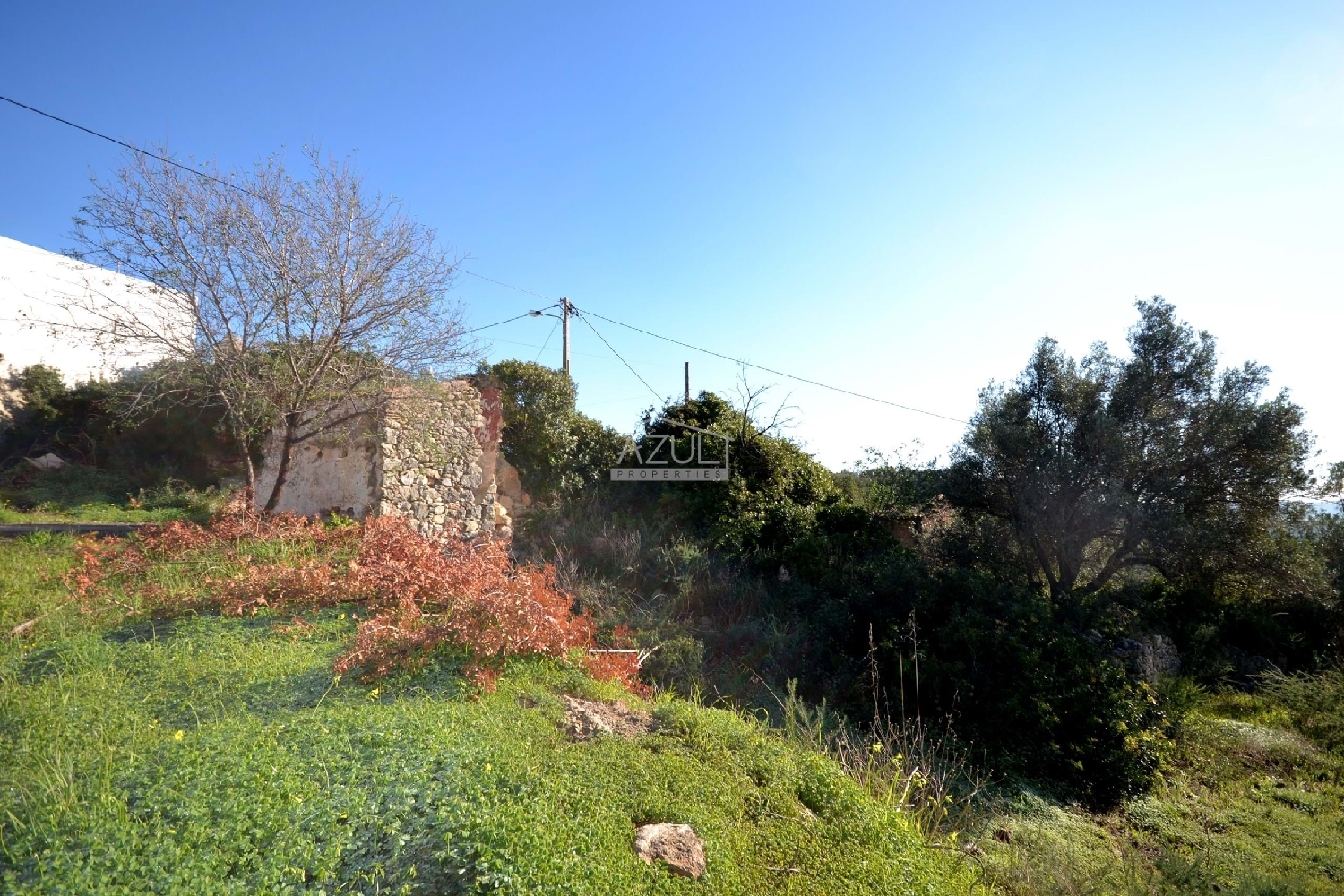  à venda terreno Loulé Loulé 5