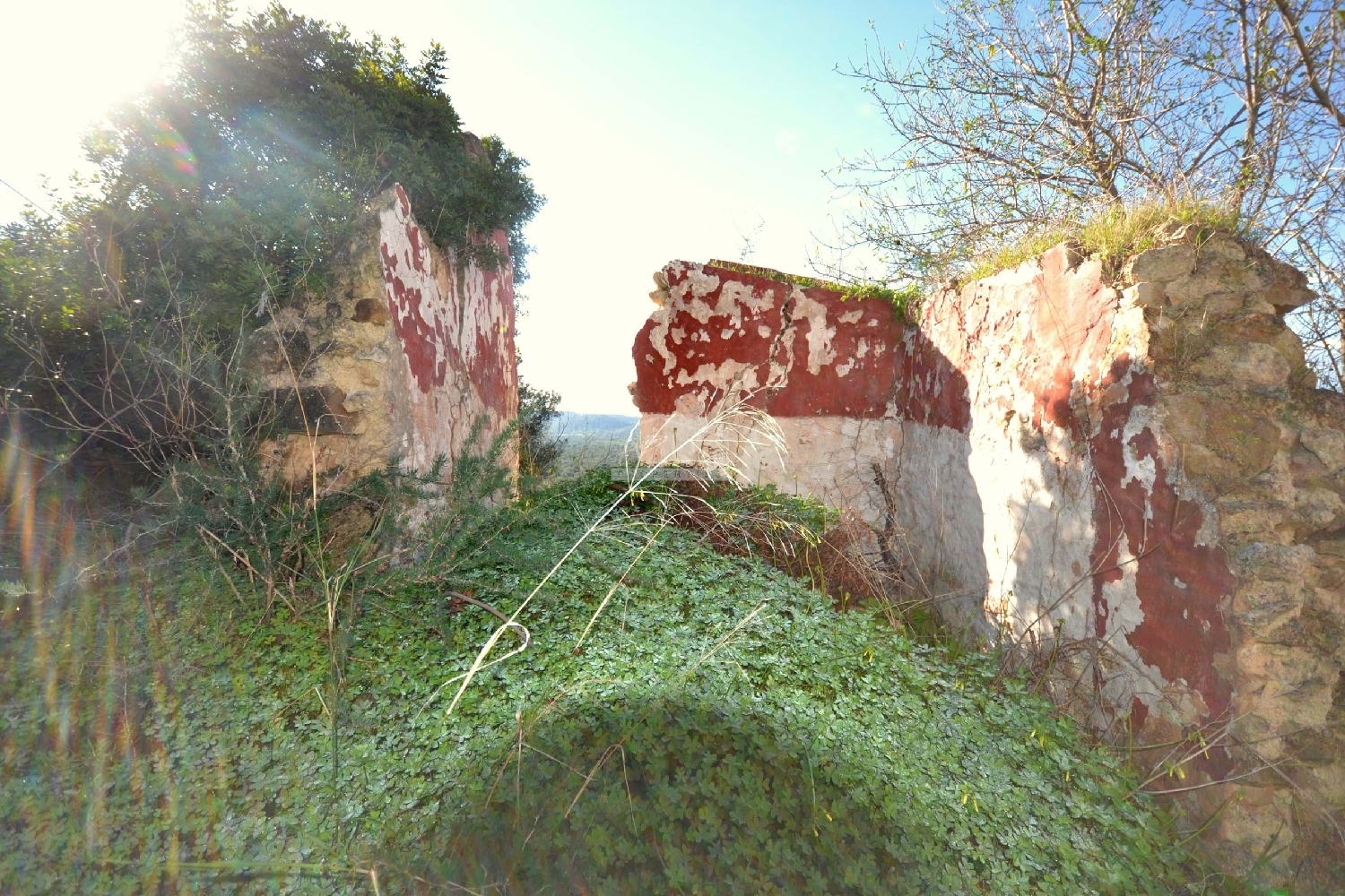  à venda terreno Loulé Loulé 6