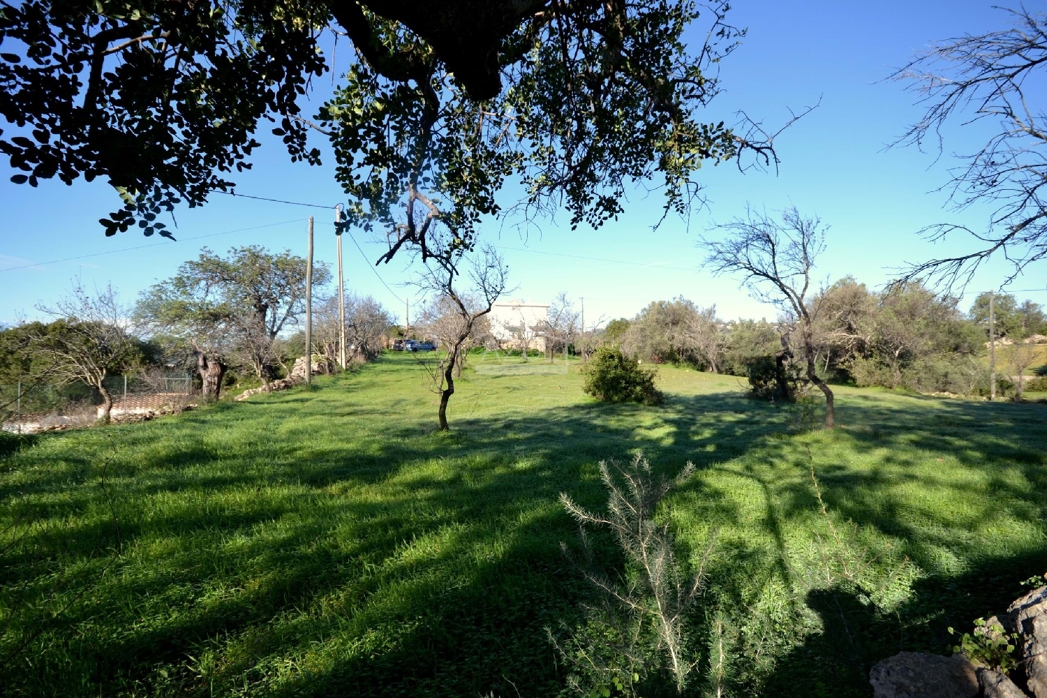  à venda terreno Loulé Loulé 8