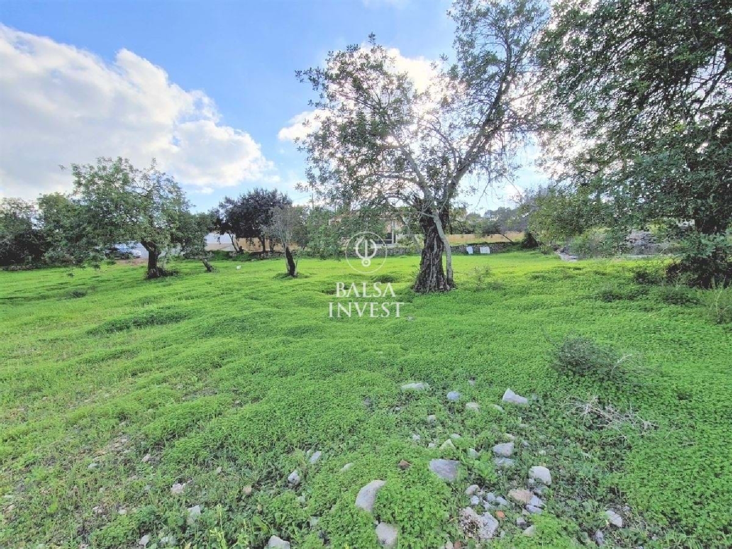  te koop terrein Loulé Loulé 5