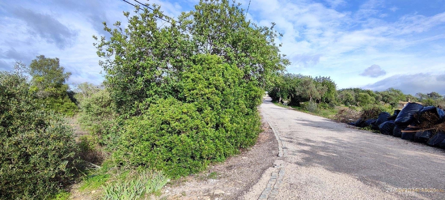  à venda terreno Loulé Loulé 1