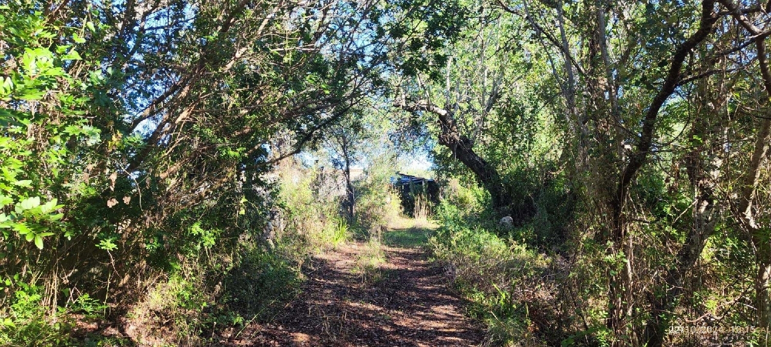  à venda terreno Loulé Loulé 1