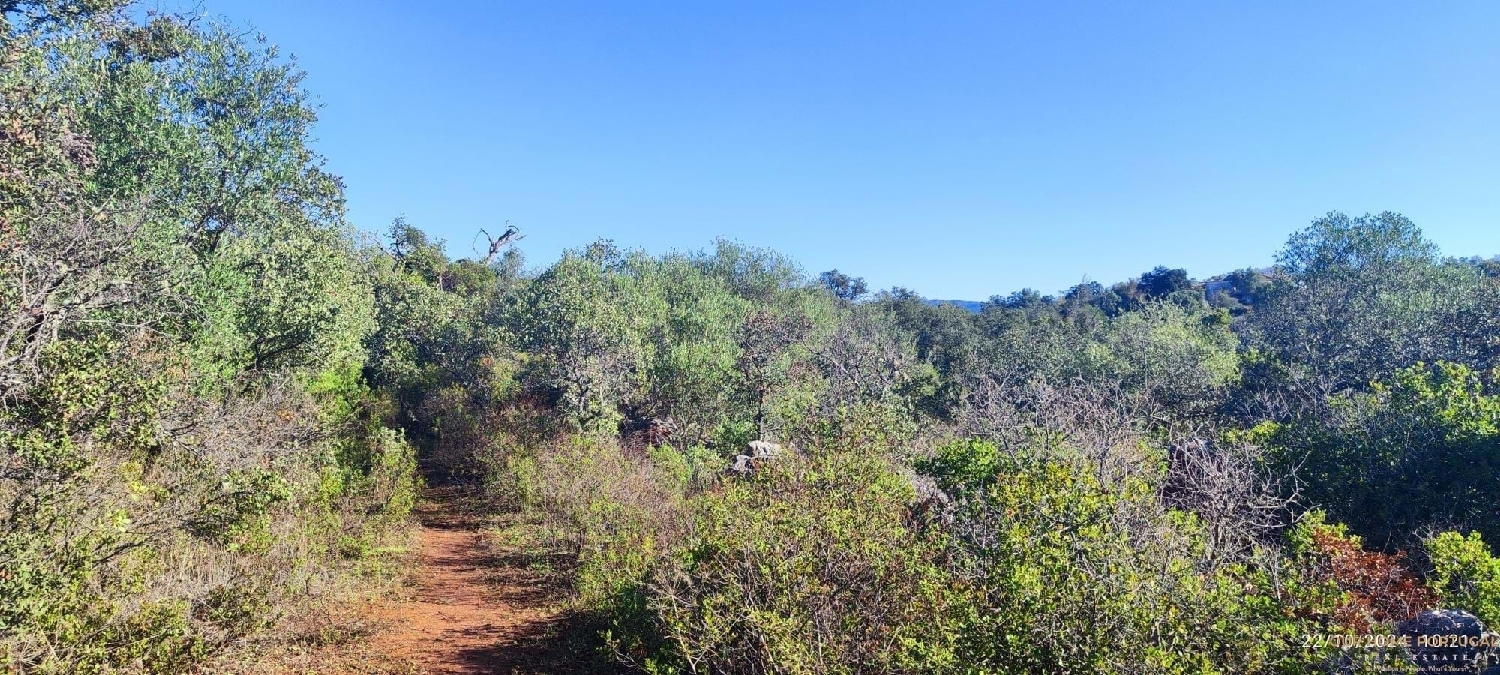  à venda terreno Loulé Loulé 4
