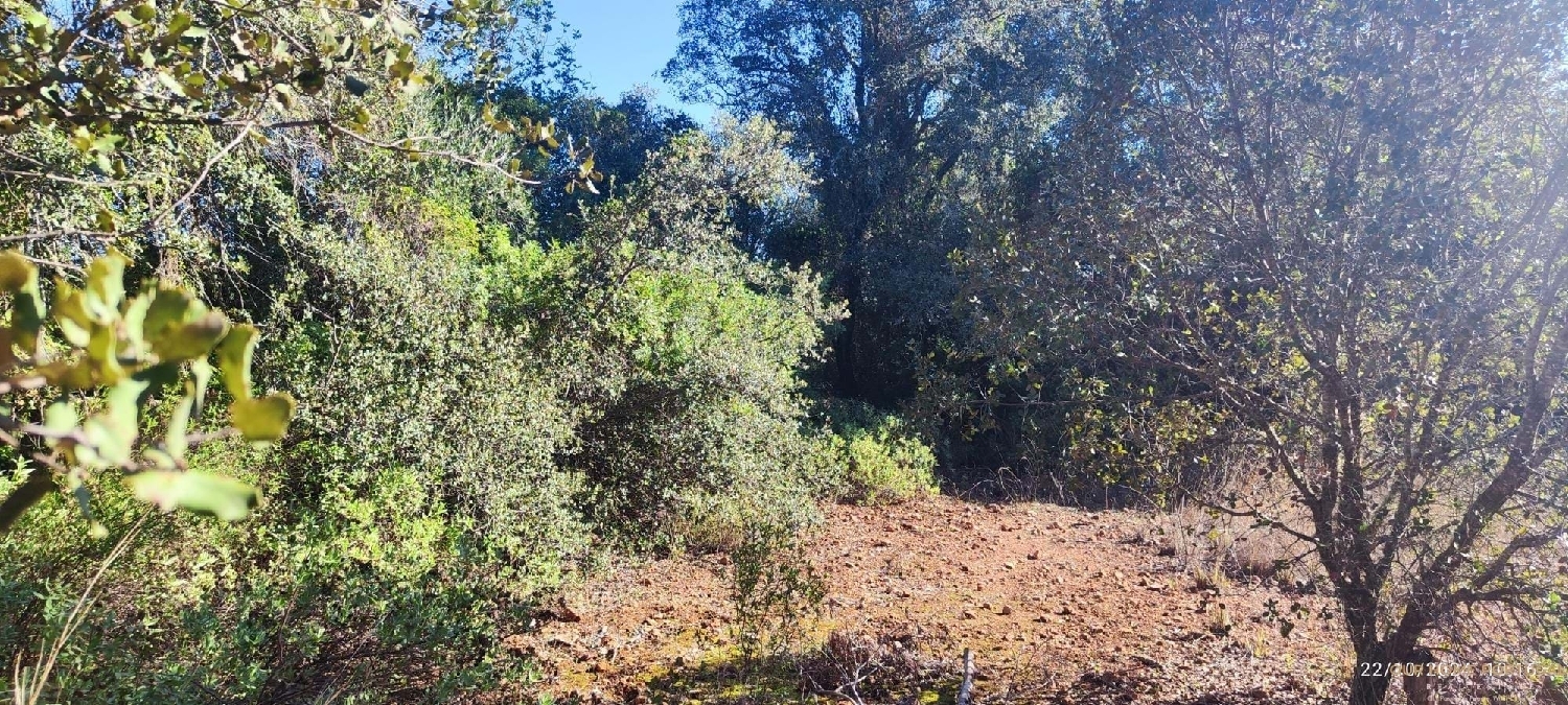  à venda terreno Loulé Loulé 5
