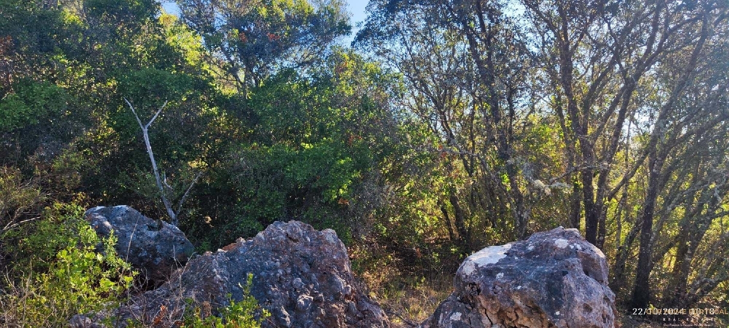  à venda terreno Loulé Loulé 6