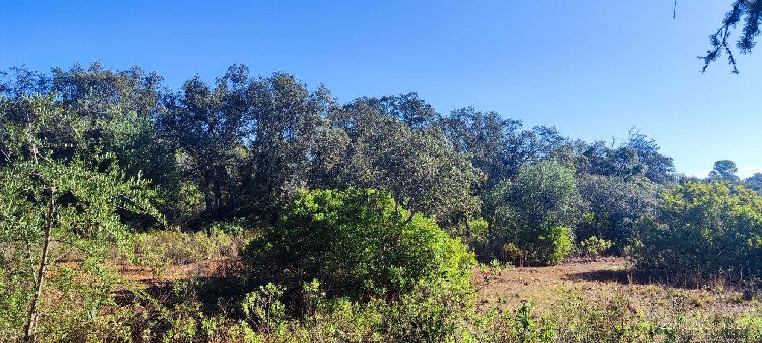  à venda terreno Loulé Loulé 7
