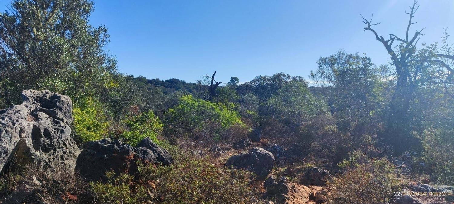  à venda terreno Loulé Loulé 8