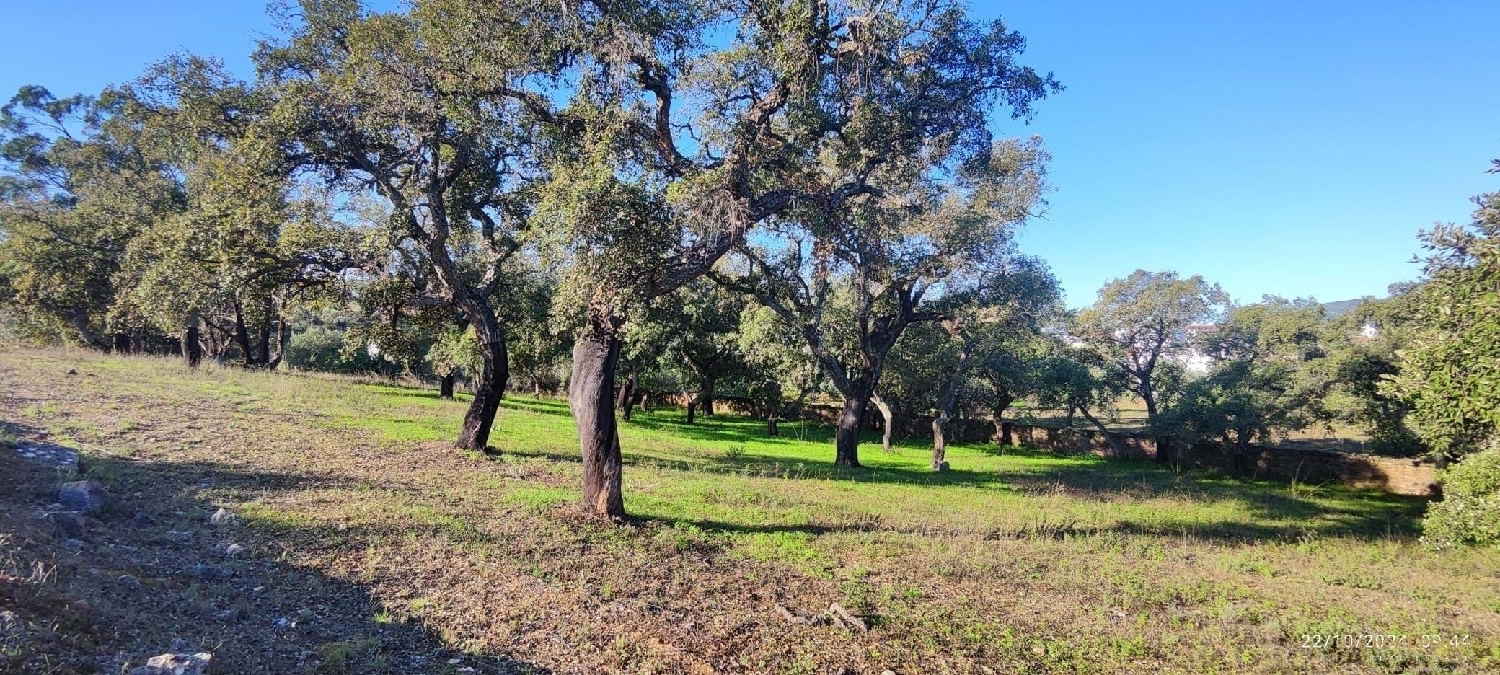  à vendre terrain Loulé Loulé 2