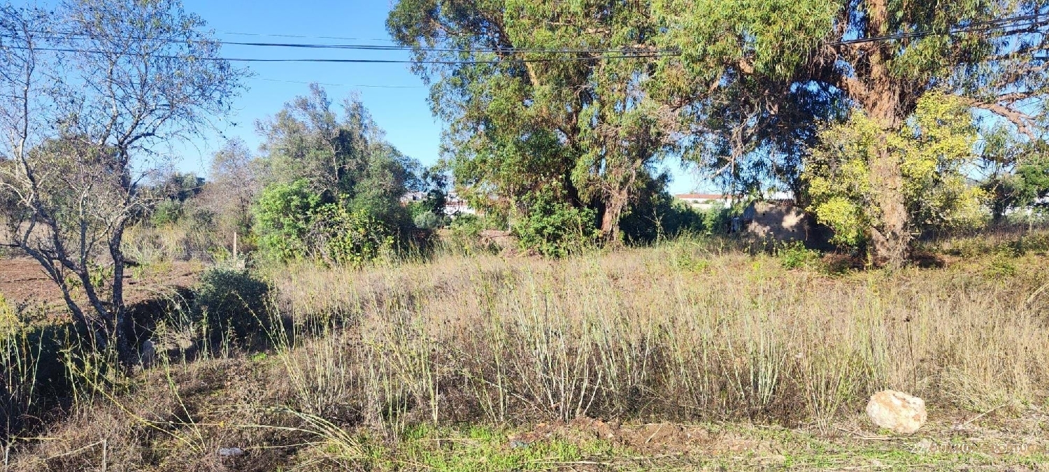 à vendre terrain Loulé Loulé 5