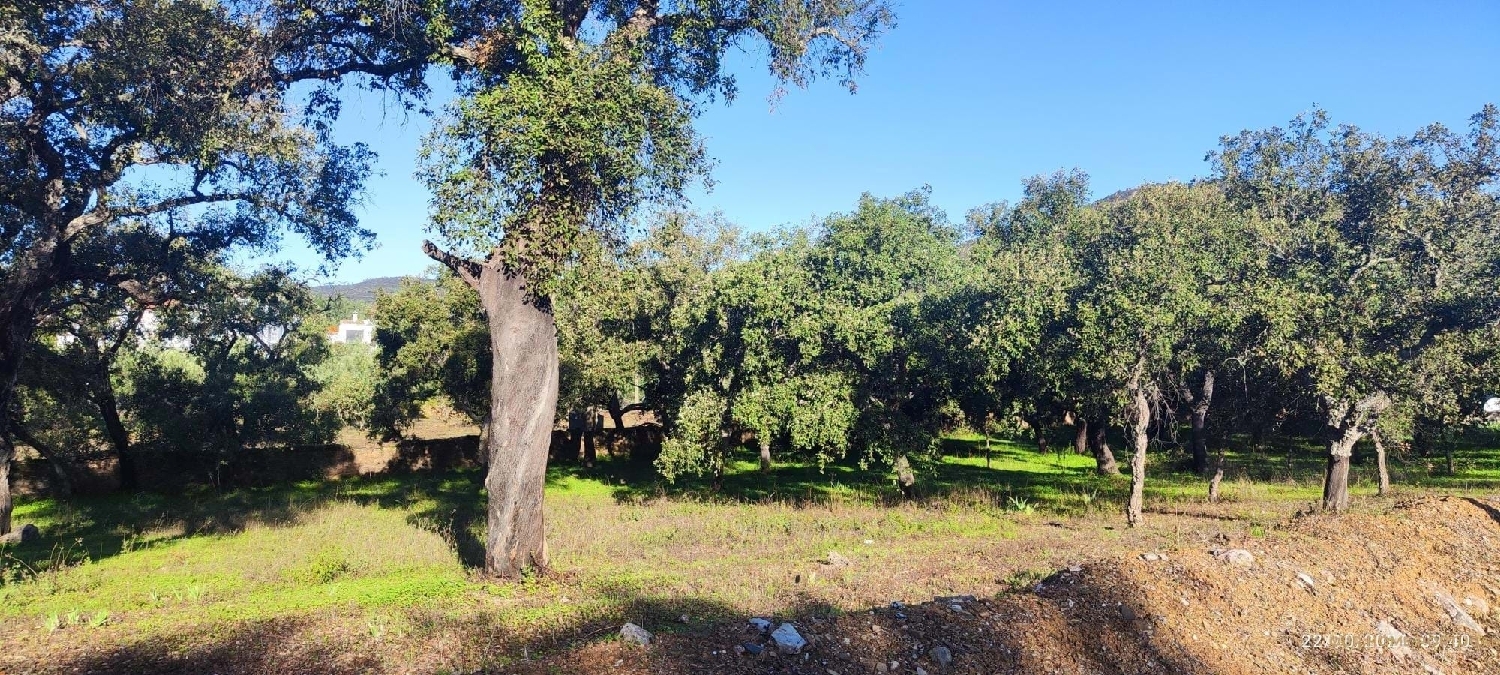  à vendre terrain Loulé Loulé 7