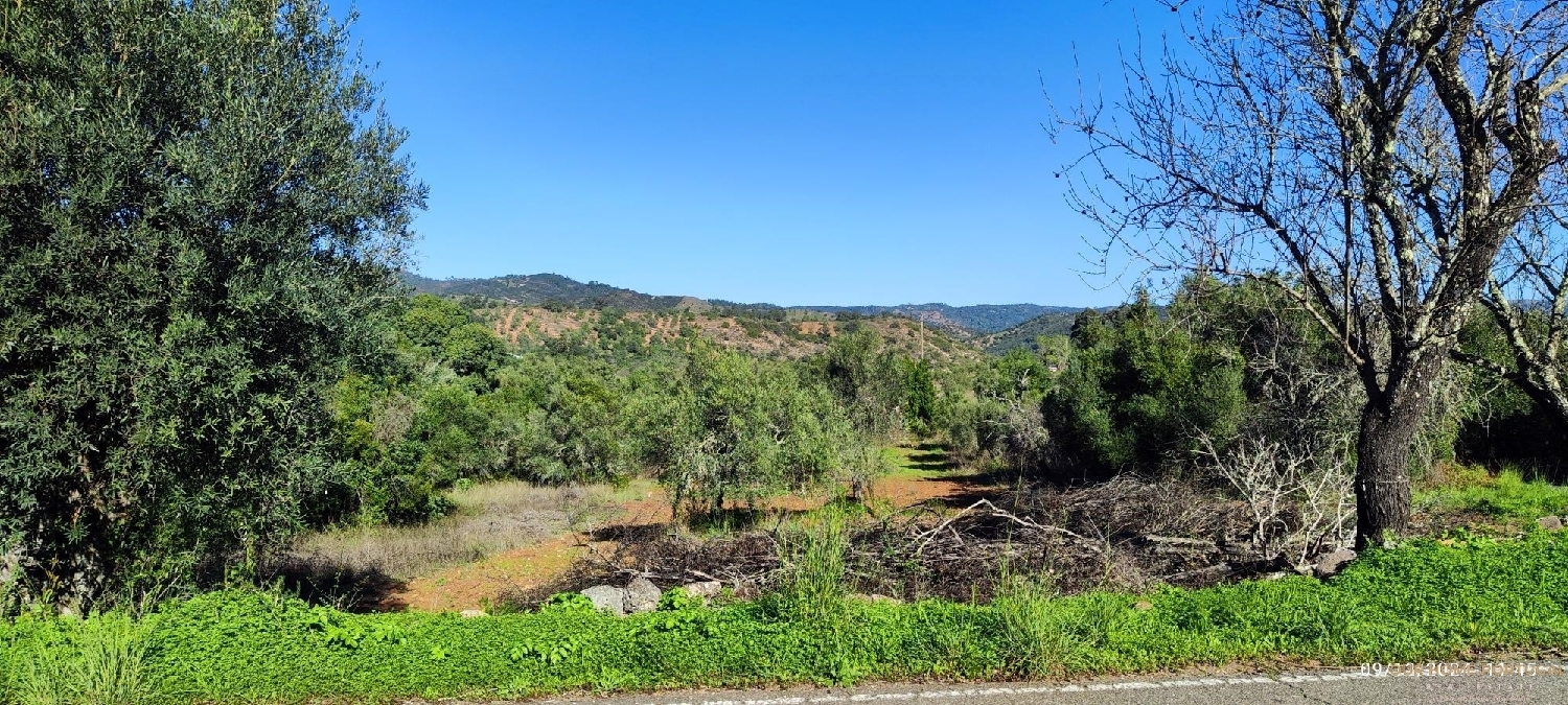  à venda terreno Loulé Loulé 2