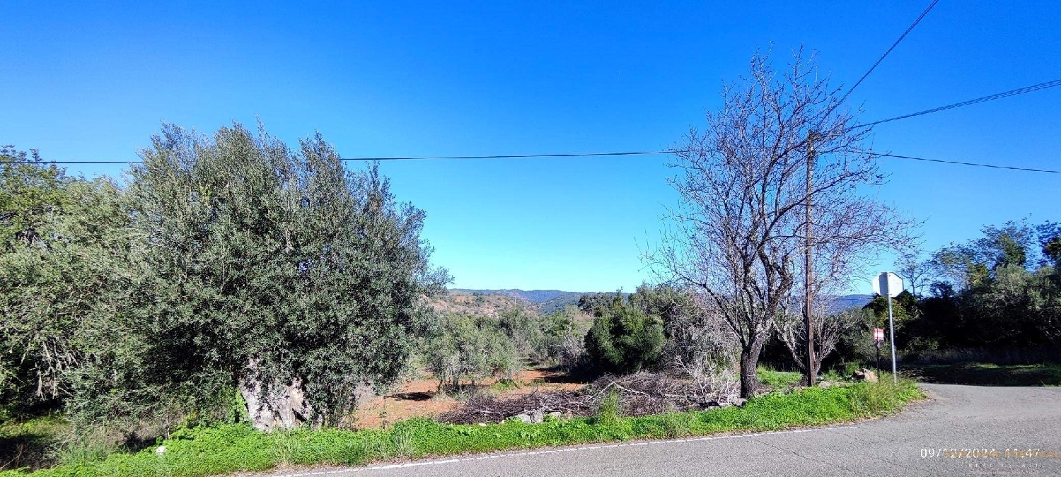  à venda terreno Loulé Loulé 3