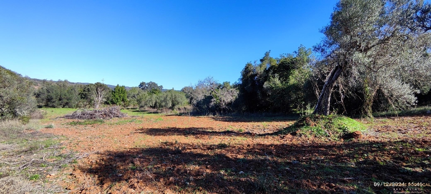 à venda terreno Loulé Loulé 5