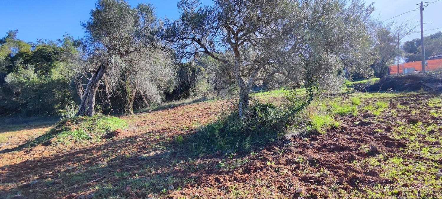  à venda terreno Loulé Loulé 6