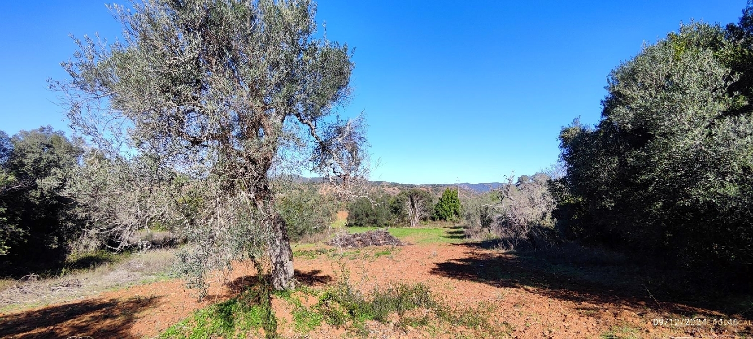  à venda terreno Loulé Loulé 7