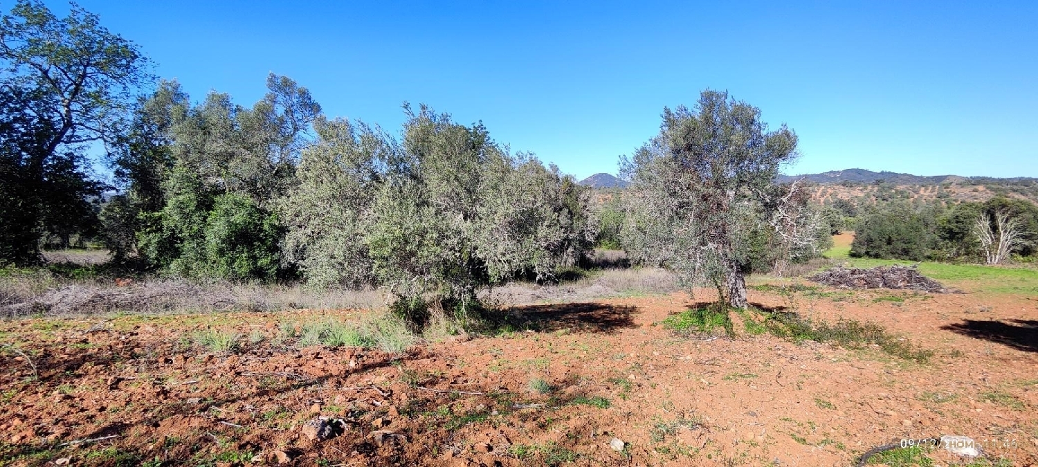  à venda terreno Loulé Loulé 8