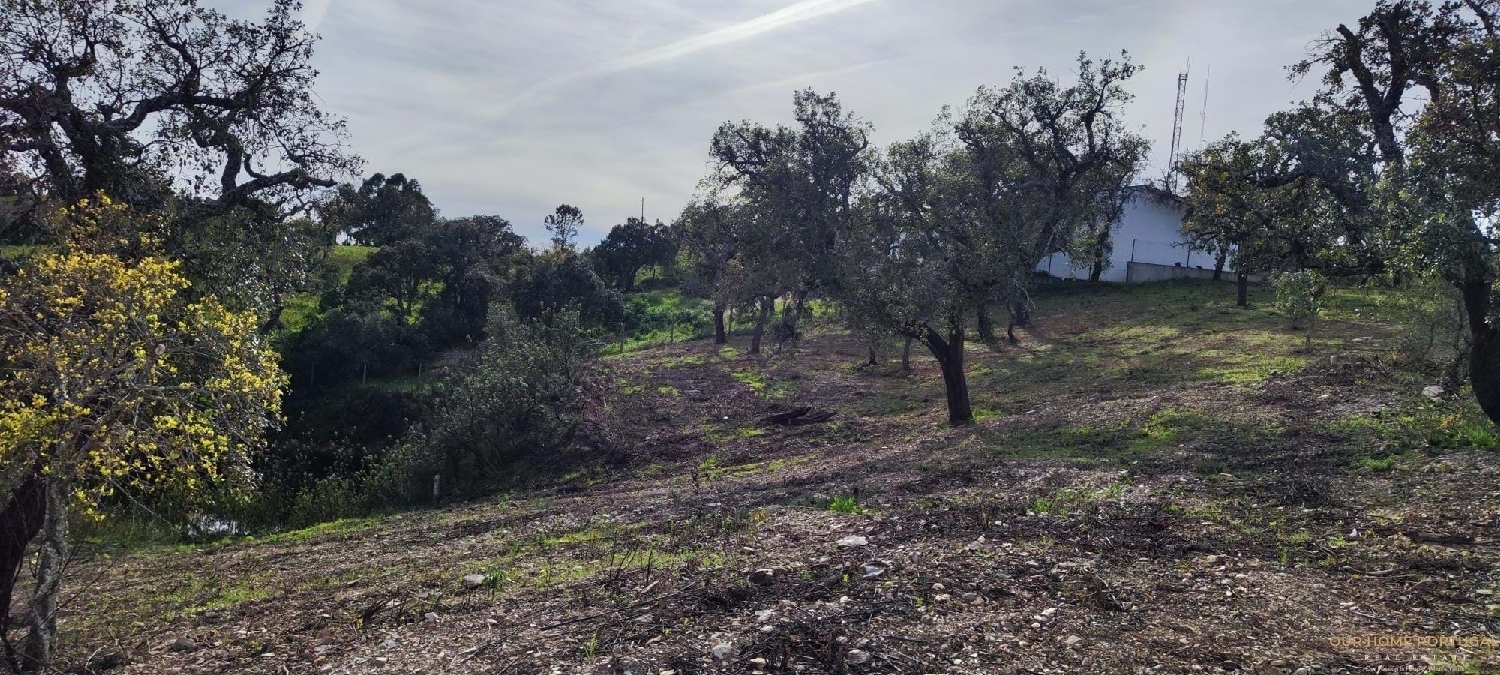  te koop terrein Loulé Loulé 5