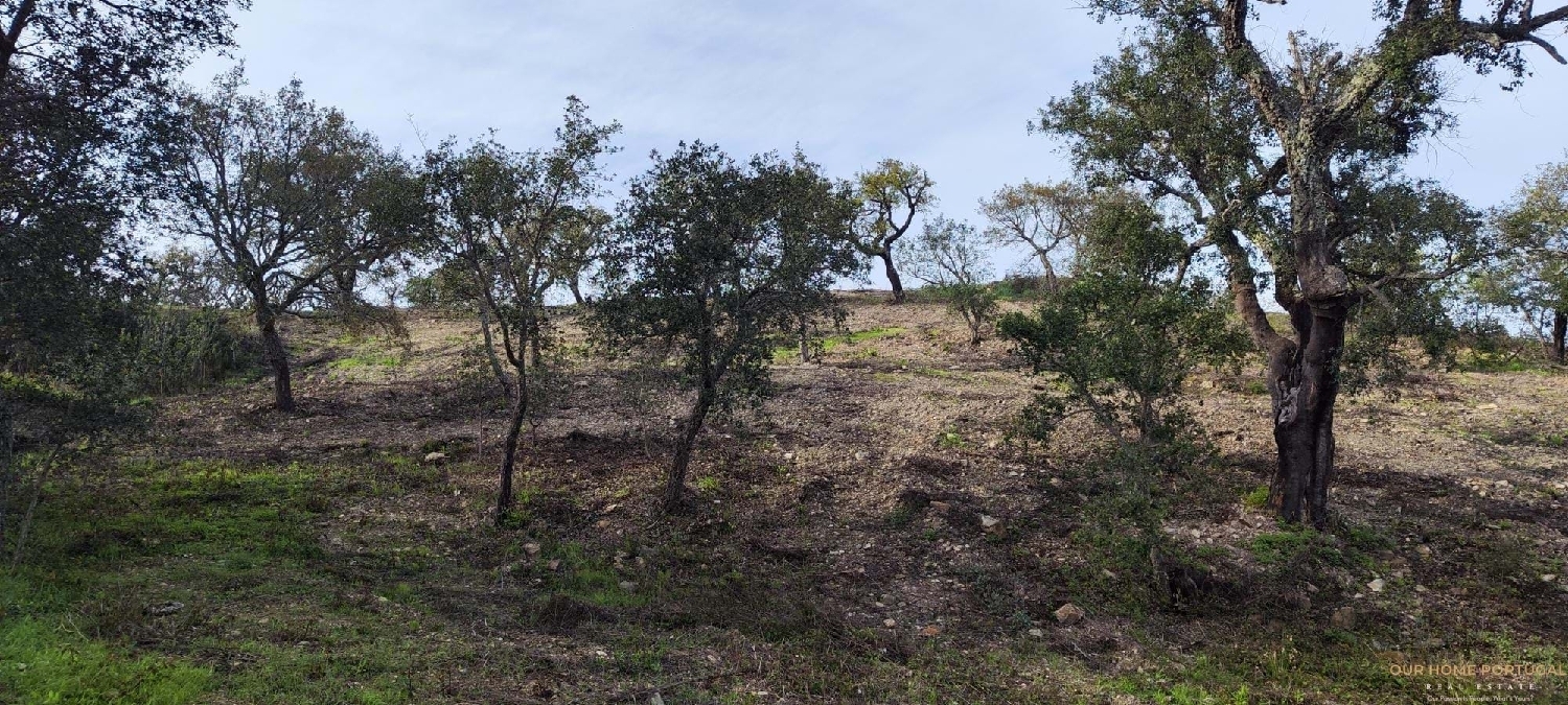 te koop terrein Loulé Loulé 8
