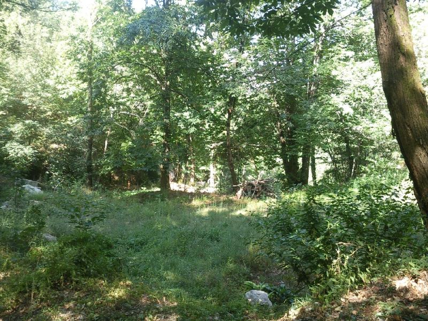 en venta terreno Louredo Vieira Do Minho 3