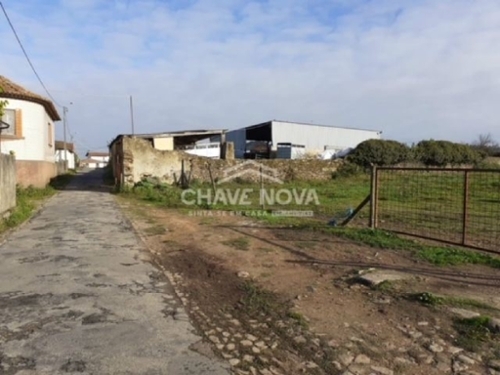 Loureiro Oliveira De Azeméis terreno foto 322057