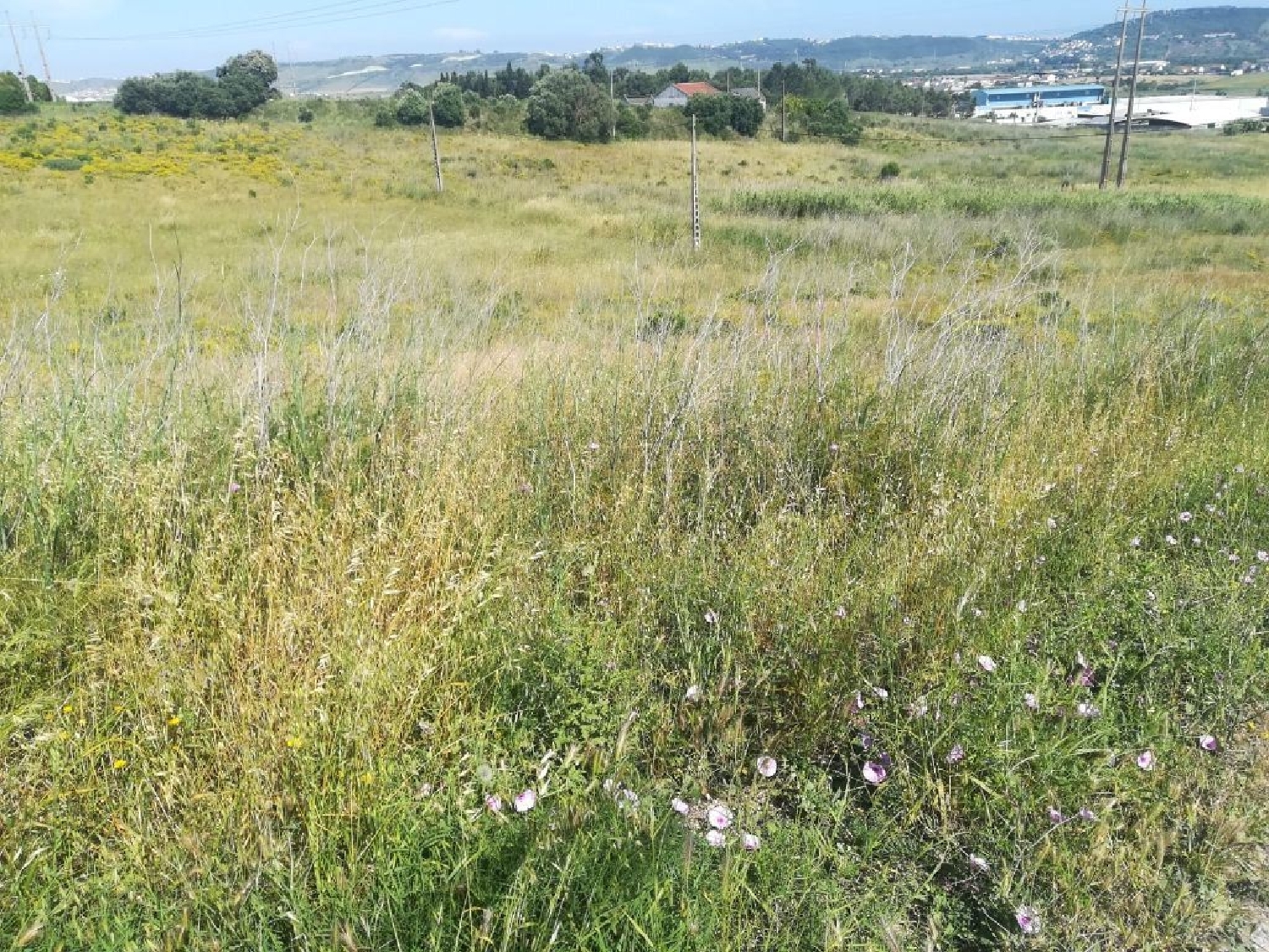  kaufen Grundstück Loures Loures 1