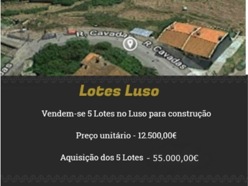 Luso Mealhada terrain foto 324802