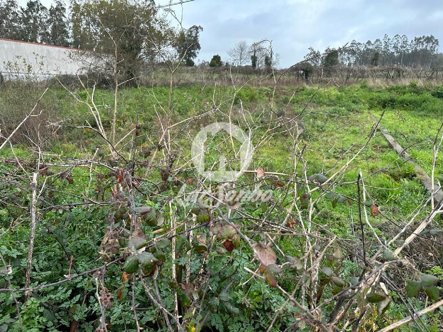 te koop terrein Macieira da Maia Vila Do Conde 3