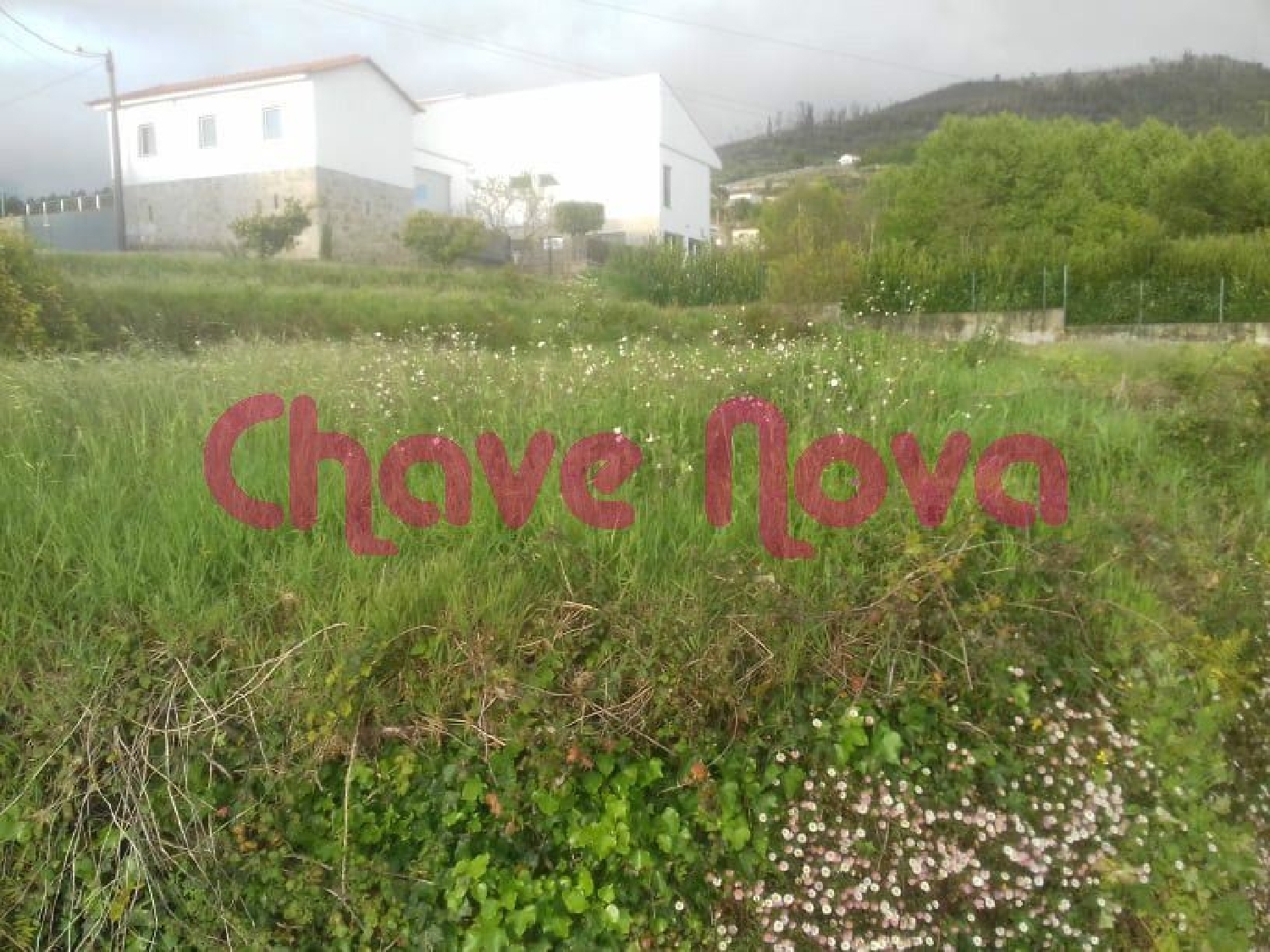  à venda terreno Macieira de Cambra Vale De Cambra 3