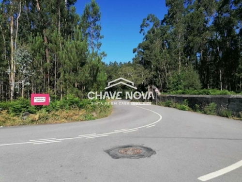 Macieira de Sarnes Oliveira De Azeméis terreno foto 322067
