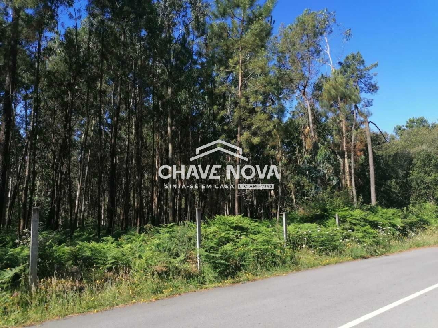  à venda terreno Macieira de Sarnes Oliveira De Azeméis 2