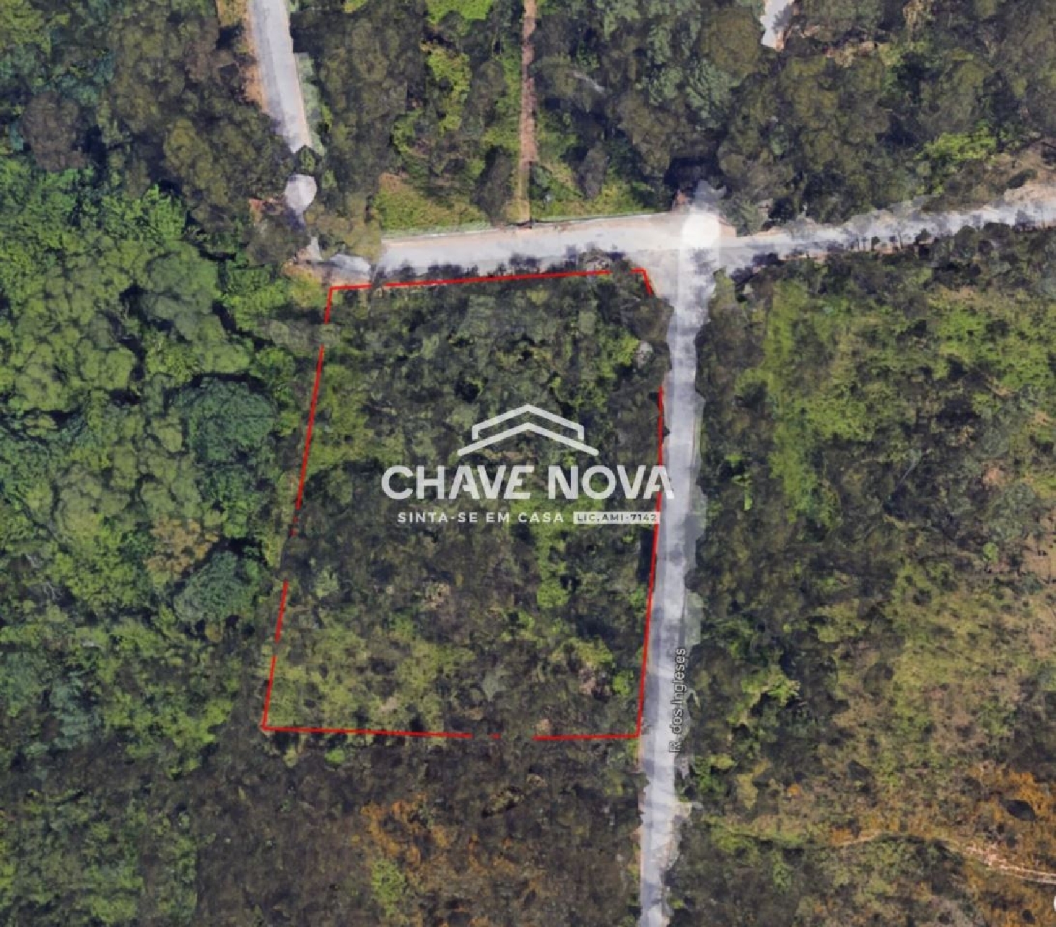 à venda terreno Macieira de Sarnes Oliveira De Azeméis 3