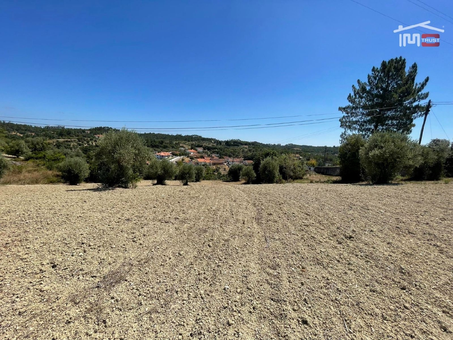 à vendre terrain Madalena Tomar 3