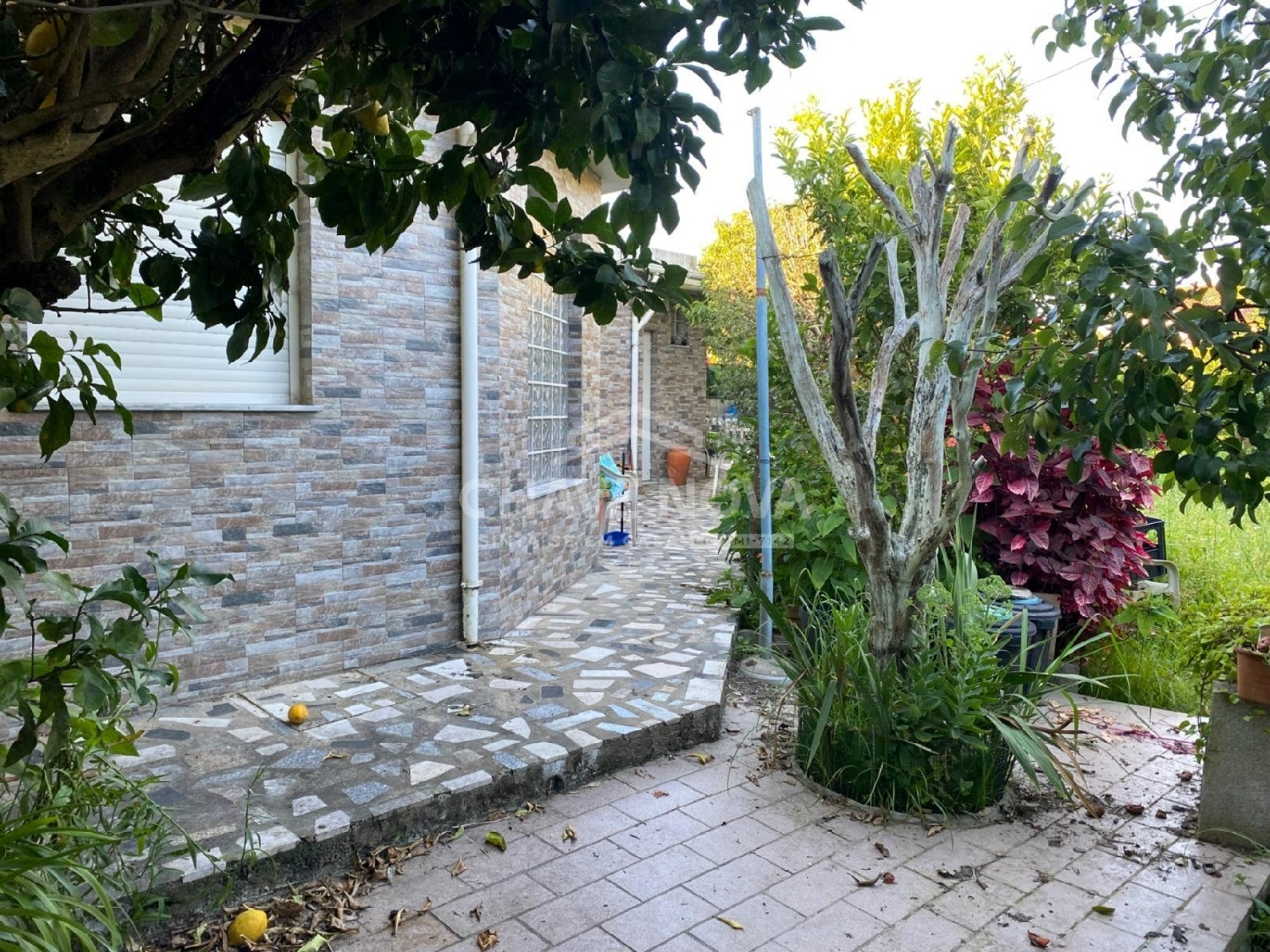  te koop terrein Madalena Tomar 1