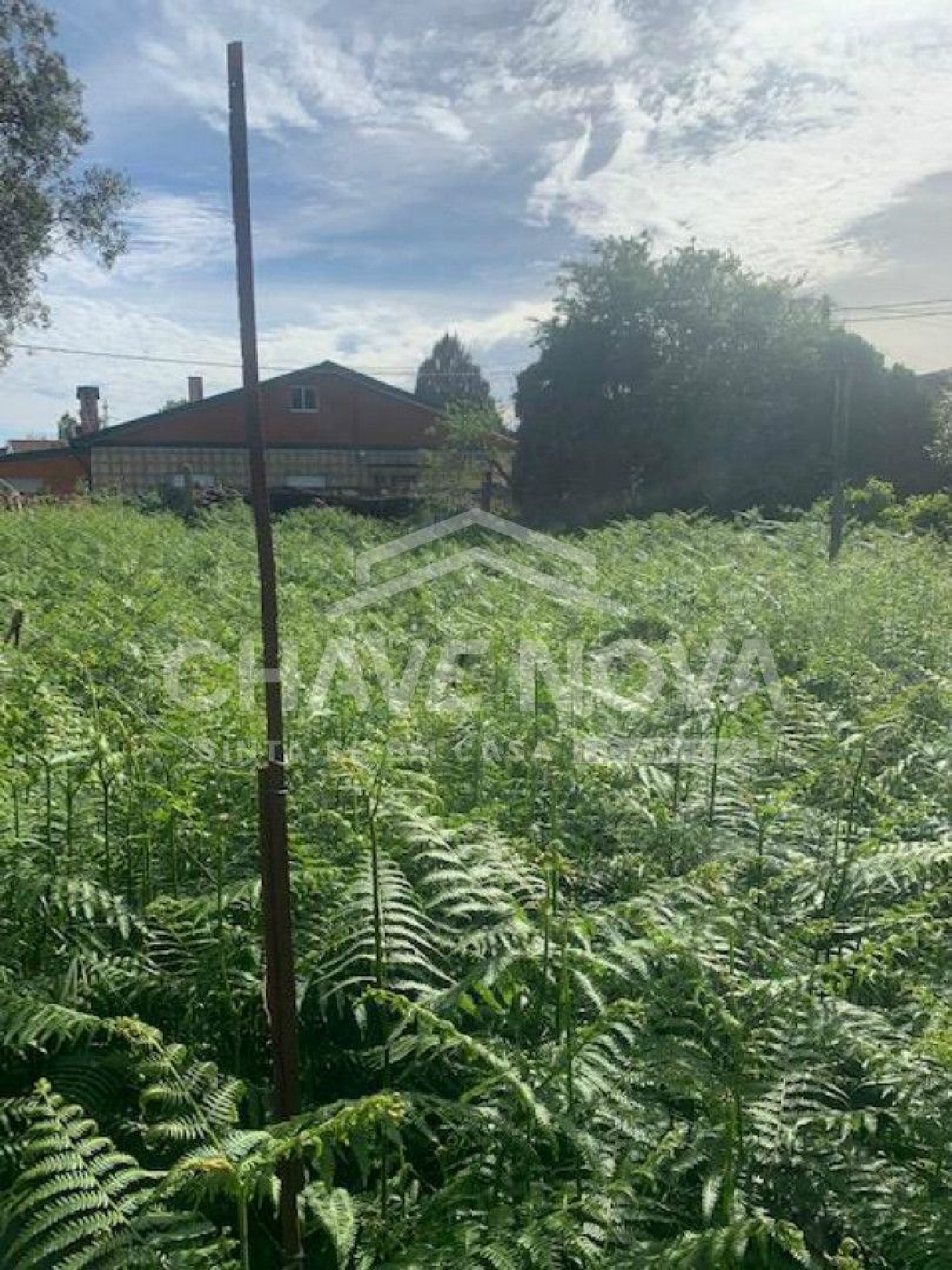  à vendre terrain Maia Maia 2