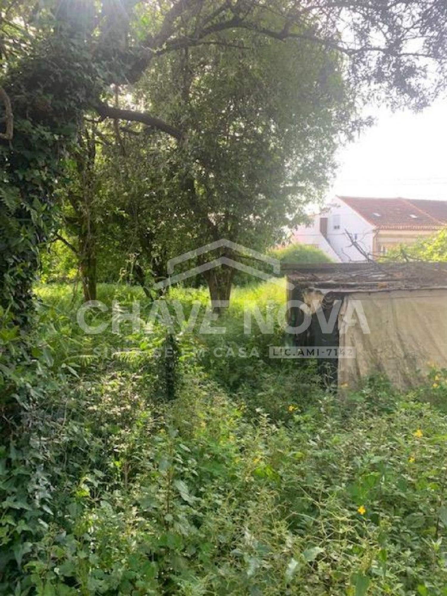  à vendre terrain Maia Maia 3