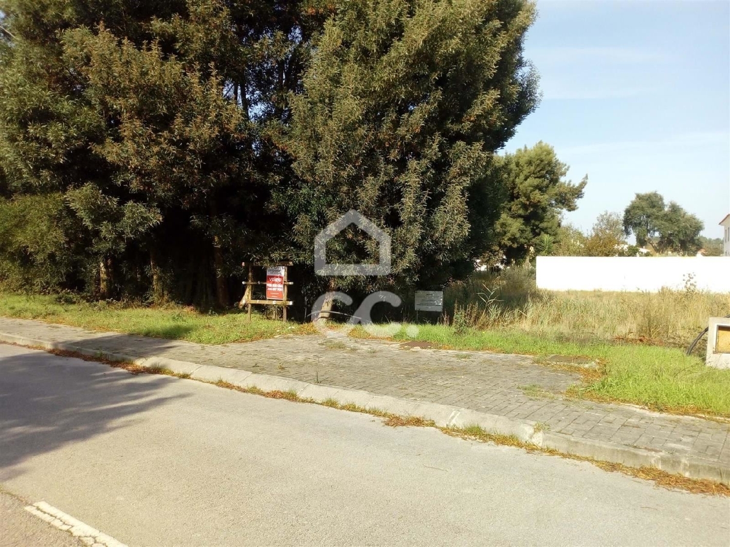  kaufen Grundstück Marinha Grande Marinha Grande 2